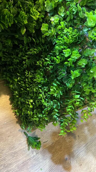 декор дерево: 🌿 “Green Line ilə Gözəllik Hesablanmaz – 50+50 dekor gül, 1 şirkət, 0