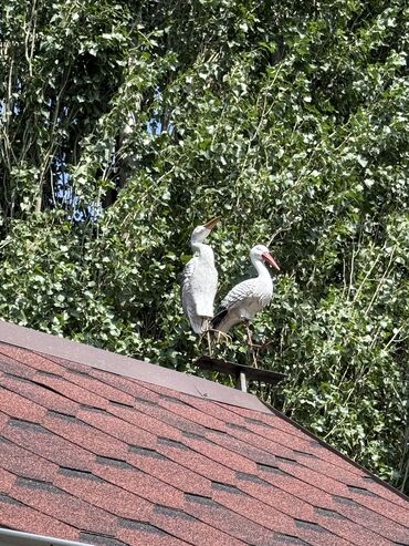 Продажа домов: Дом, 160 м², 5 комнат, Агентство недвижимости, Евроремонт — 16