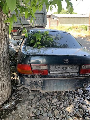 Продажа авто: Toyota Carina E: 1993 г., 1.6 л, Механика, Бензин, Седан — 8