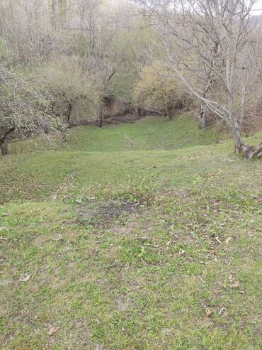 Torpaq sahələrinin satışı: Satılır: təbiət qoynunda yaşıllıqla əhatələnmiş torpaq sahəsi — 6