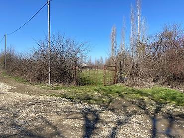 Torpaq sahələrinin satışı: Kənd təsərrüfatı — 1