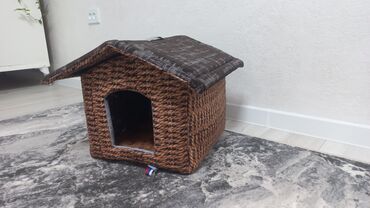 бенгальские кошки цена бишкек: Кошкин дом или для мелкой собачки