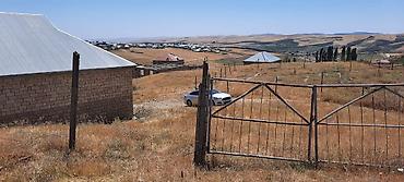 samaxi: 6 sot, Kupça (Çıxarış) — 2