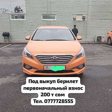 оранжевая соната: Hyundai Sonata: 2018 г., 2 л, Автомат, Газ, Седан — 1