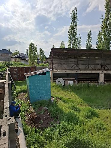 мал ферма: Farm КРС, 418 соток, Не действующий, Без оборудования, Холодная вода, Электричество — 4