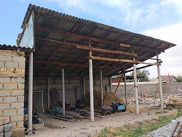 сумка для собак: Продаю большой сеновал поможем разобрать — 2