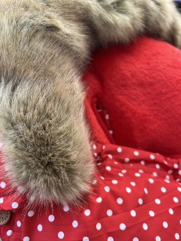 Коляски: Коляска, Новый — 1