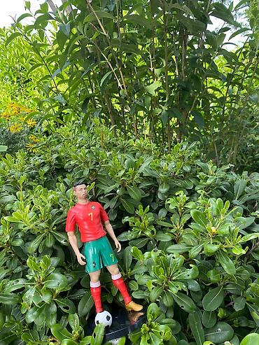 Fiqurlar: Fiqur, Plastik — 9