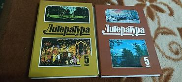 Учебники: Русская литература, 5 класс, Б/у, Самовывоз — 1