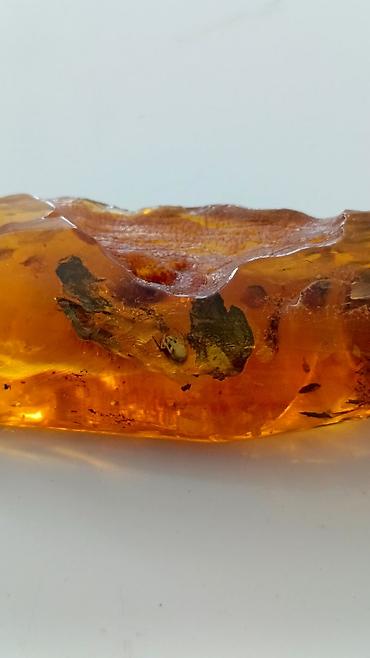 Qiymətli daşlar: Kəhrəba, Pulsuz çatdırılma — 19