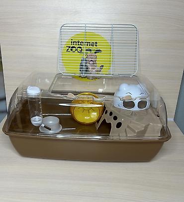 Хомяки: Продаются хомячки джунгарские, сирийские, ангорские пушистые хомячки — 27