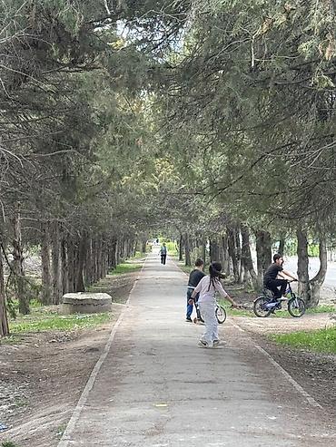 Продажа помещений свободного назначения: Продаётся двух комнатная квартира(можно переделать под трешку) в новом — 17