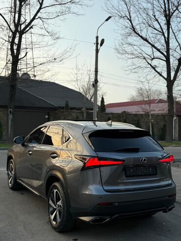 Lexus: Lexus NX: 2021 г., 2 л, Автомат, Бензин