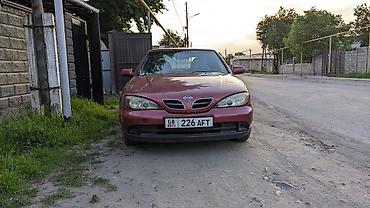 nisa: Nissan Primera: 2000 г., 2 л, Вариатор, Бензин, Лифтбек — 1