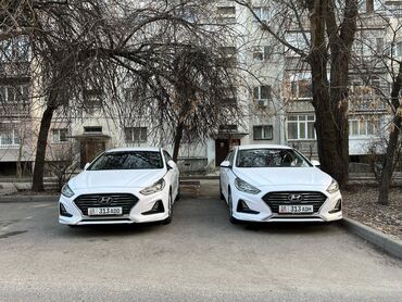 hyundai polisat: Сдаю в аренду: Легковое авто