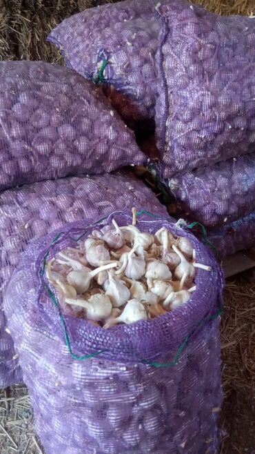 фасадные панели с утеплителем бишкек: Чеснок