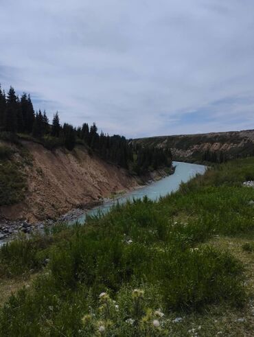 водител камаз: По региону, По городу Такси, легковое авто | 7 мест