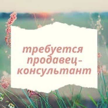 работу продавец консультант: Требуется продавец консультант аксессуаров проживающий Баха -Ахунбаева