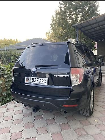 форестер 2009: Subaru Forester: 2009 г., 2.5 л, Автомат, Бензин, Кроссовер — 3