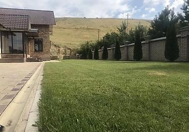 Газон: Сеем газон ( АвтоПолив Газона) под 🔑 Система АвтоПолива💧 Планировка — 24