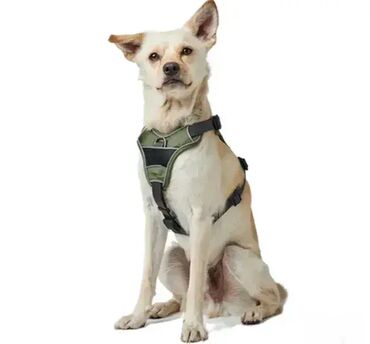 Oprema za kućne ljubimce: *** AKCIJA *** #2156 Kvalitetni am za pse DIVO DOG HARNESS - By — 6