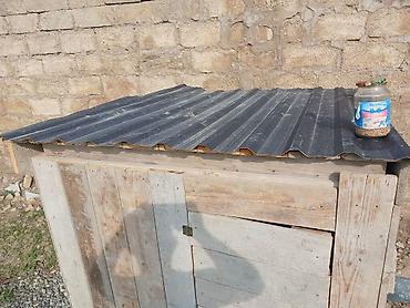 yarasa yuvasi: Taxta göyərçin yuvası/peykan - Material: qalın taxta lövhələrdən — 3