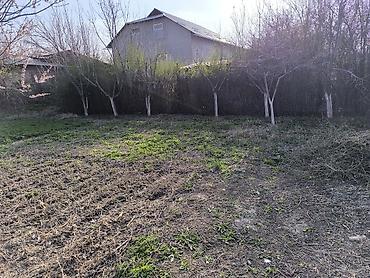 Продажа участков: Для строительства — 4