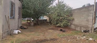 Продажа домов: Дача, 100000 м², 5 комнат, Собственник, Косметический ремонт at lalafo.kg — 7 Продажа домов: Дача, 100000 м², 5 комнат, Собственник, Косметический ремонт — 7