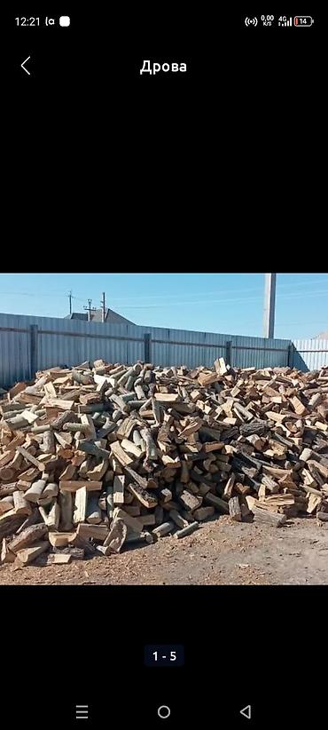 Дрова: Дрова — 1