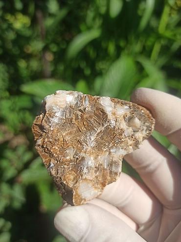 cib saatı: Milyon İllik Tarixi Fosil 💎 Daşlaşmış Ağac ( Petrified Wood ) 🪵 ✨ Bu — 6