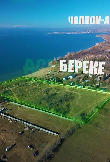 centr park: 4 соток, Для бизнеса, Красная книга — 1