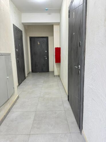 продаю дом ново покровка и лебединовка: 1 комната, 55 м², Элитка, 9 этаж, ПСО (под самоотделку)