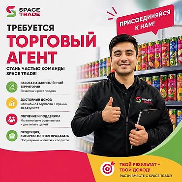 Требуется Торговый агент, График: Пятидневка, Без опыта, Карьерный рост, Полный рабочий день