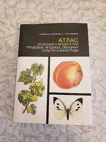 atlas pdf: Məhsul: “Atlas: Meyvə, Giləmeyvə, Tərəvəz Bitkiləri və Üzümdə — 1