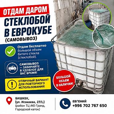 Отдам даром стеклобой в еврокубе (самовывоз) Отдам бесплатно большой