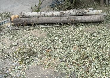 сварка работа: Чынар Терек сатылат узундугу 4 метр 3,5 метр Бревна лиственных пород