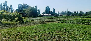 квартира 2 к: Продаётся дом с большим приусадебным участком. - Кирпичный дом и — 8