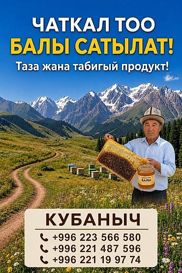 соты: Натуральный горный мёд из Чаткальских гор. - Происхождение — 1