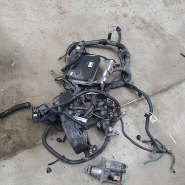 моторная коса: Коса двс Toyota Camry ACV40 2AZ-FE 2007 (б/у)