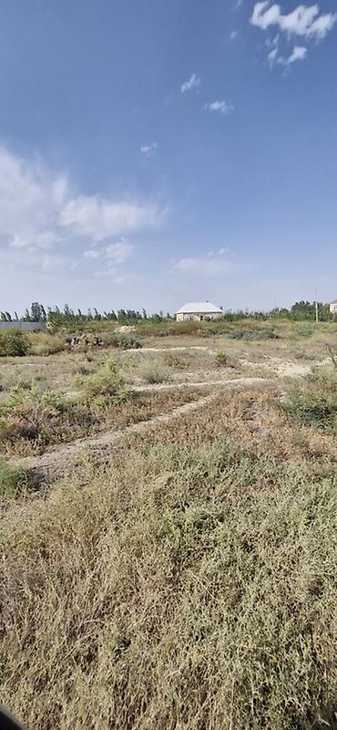Torpaq sahələrinin satışı: Tikinti -da lalafo.az — 8 Torpaq sahələrinin satışı: Tikinti — 8