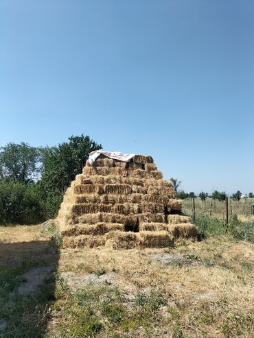 резиновые маты для крс цена в бишкеке: Тюки бэде