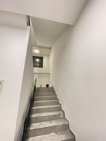 Покраска: Покраска стен, Покраска потолков, Покраска дверей, На масляной основе, На водной основе, Больше 6 лет опыта — 4