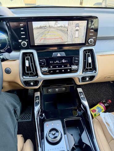 Kia: Kia Sorento: 2023 г., 2.2 л, Автомат, Дизель, Кроссовер — 10