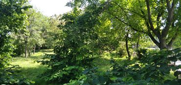 Torpaq sahələrinin satışı: 10 sot, Tikinti, Mülkiyyətçi, Kupça (Çıxarış) — 20