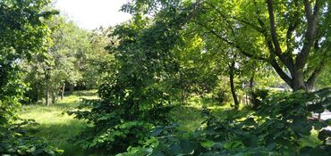 Torpaq sahələrinin satışı: 10 sot, Tikinti, Mülkiyyətçi, Kupça (Çıxarış) — 21