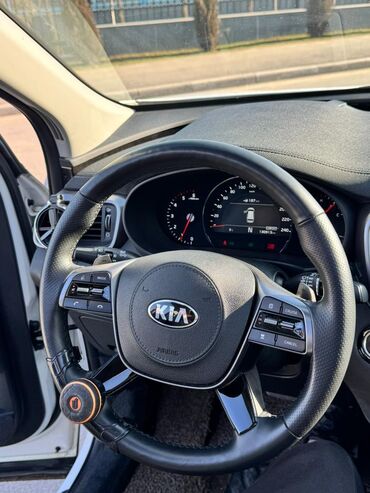 Kia: Kia Sorento: 2019 г., 2.2 л, Дизель — 17