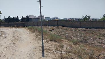 Torpaq: 16 sot, Tikinti, Makler, Kupça (Çıxarış) — 1