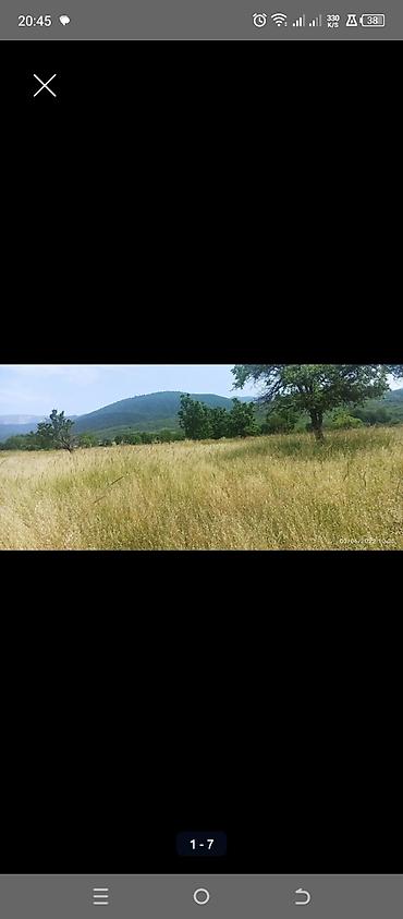 Torpaq sahələrinin satışı: Kənd təsərrüfatı — 7