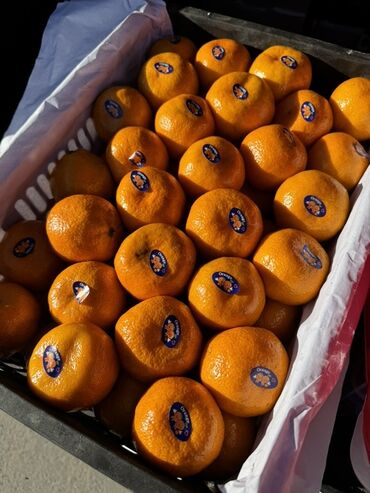 Мандарины: Мандарины — 8