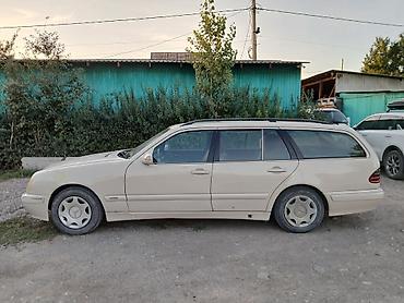 мерседес зайчик: Mercedes-Benz E-Class: 2003 г., 2.2 л, Автомат, Дизель, Универсал — 2